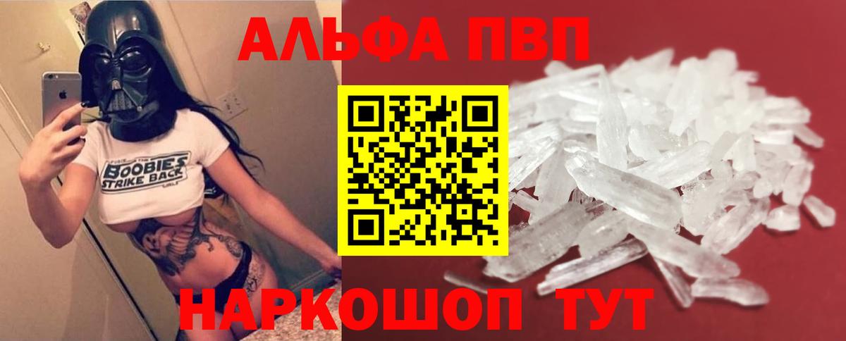 Альфа ПВП СК Хасавюрт