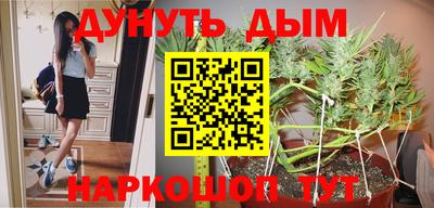 крисы Новозыбков