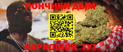 крисы Новозыбков