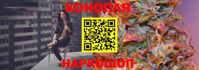 крисы Новозыбков