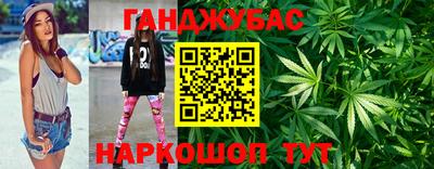крисы Новозыбков