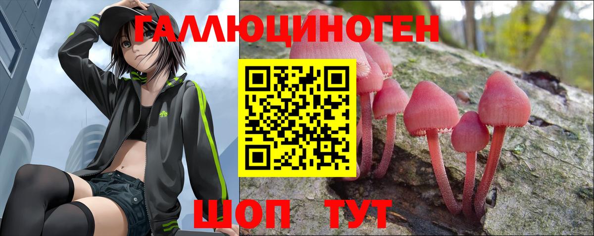 Галлюциногенные грибы прущие грибы  Вход с VPN  Хасавюрт  наркота  Галлюциногенные грибы ЛСД 