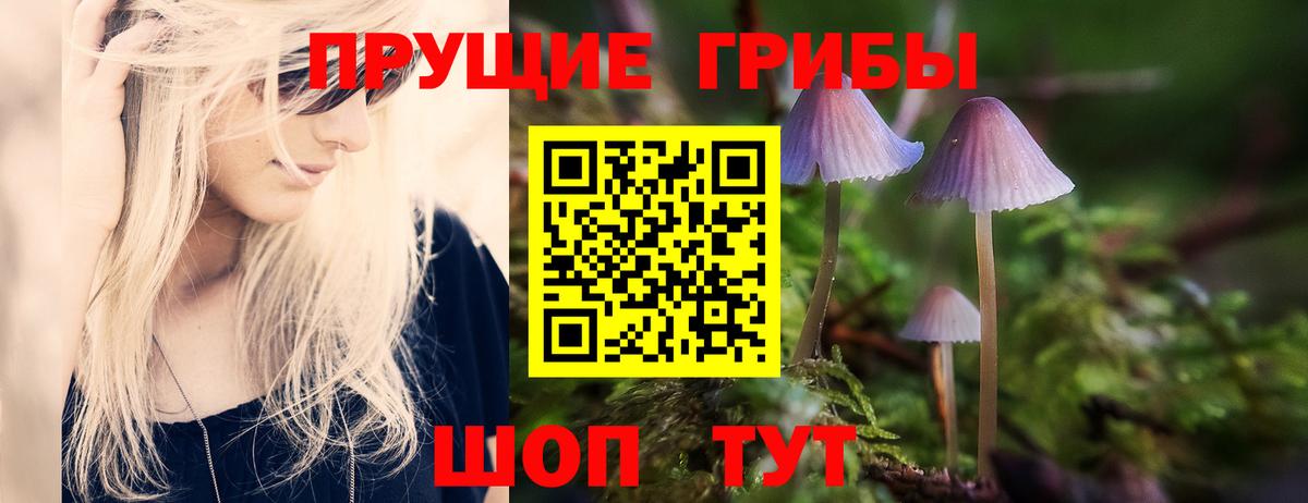 Псилоцибиновые грибы мицелий Хасавюрт